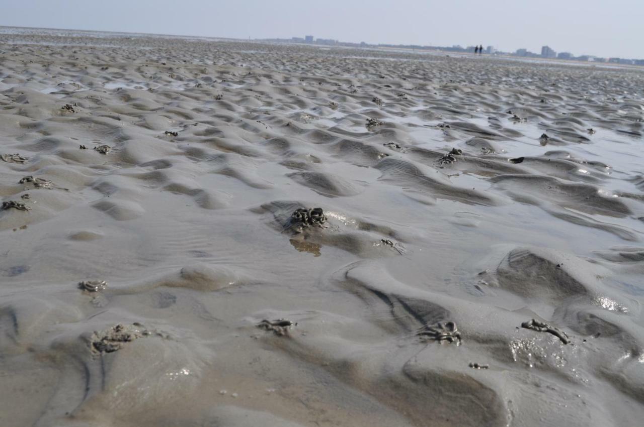 Ferienhaus Exner Hinter Dem Deich Cuxhaven Bagian luar foto